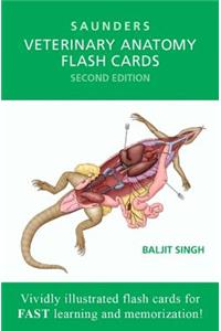 Veterinary Anatomy Flash Cards