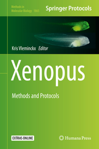 Xenopus