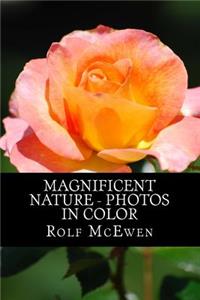 Magnificent Nature - Photos in Color