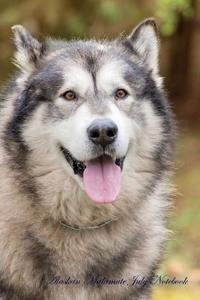 Alaskan Malamute July Notebook Alaskan Malamute Record, Log, Diary, Special Memories, To Do List, Academic Notepad, Scrapbook & More