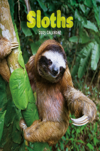 2025 Sloths Mini Calendar
