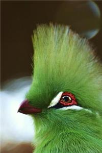 Gorgeous Green Guinea Turaco Bird Portrait Journal