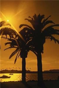 Tropical Sky Background Travel Journal