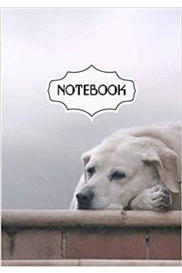 Pocket Notebook Waiting