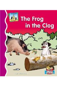 Frog in the Clog