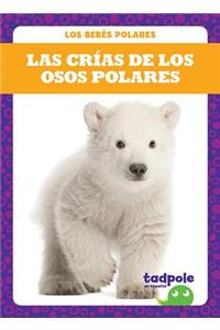 Las Crias de Los Osos Polares (Polar Bear Cubs)