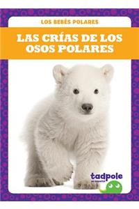 Las Crías de Los Osos Polares (Polar Bear Cubs)