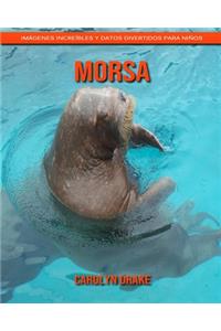 Morsa