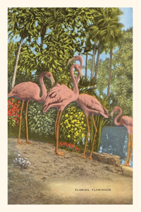 Vintage Journal Flamingos, Florida