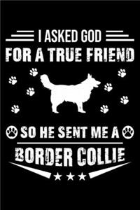 I Asked God For A True Friend So He Sent Me A Border Collie