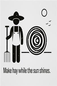 Make hay while the sun shines