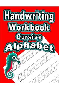 Handwriting Workbook