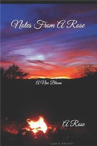 Notes From A Rose