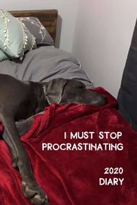 I Must Stop Procrastinating Diary 2020