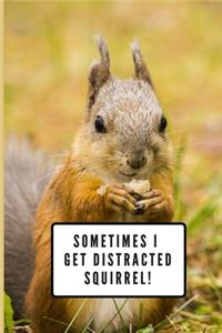 Sometimes I Get Distracted - Squirrel!