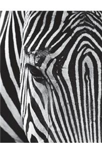 Zebra Notebook Large Size 8.5 x 11 Ruled 150 Pages