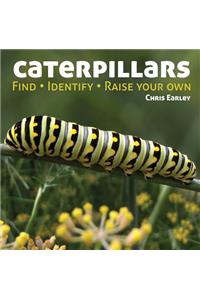 Caterpillars: Find - Identify - Raise Your Own