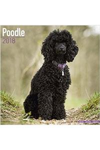 Poodle Calendar 2018 (Square)