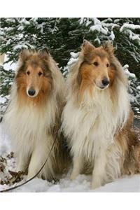 Daily Organizer and Planner