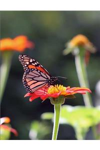 2019 Medical Planner