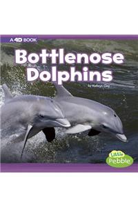 Bottlenose Dolphins