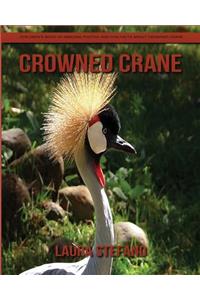 Crowned Crane