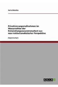 Privatisierungsmaßnahmen im Wassersektor der Entwicklungszusammenarbeit aus neo-institutionalistischer Perspektive