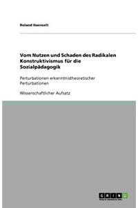 Vom Nutzen und Schaden des Radikalen Konstruktivismus für die Sozialpädagogik