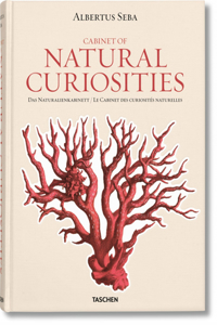 Albertus Seba, Cabinet of Natural Curiosities