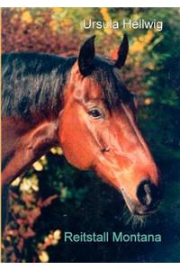 Reitstall Montana