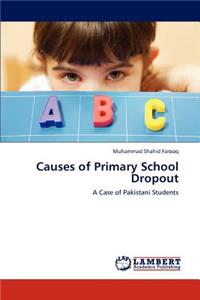 Causes of Primary School Dropout