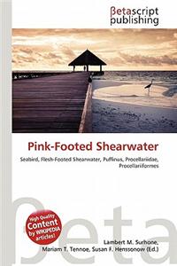 Pink-Footed Shearwater