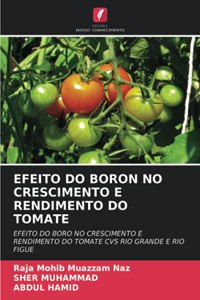 Efeito Do Boron No Crescimento E Rendimento Do Tomate