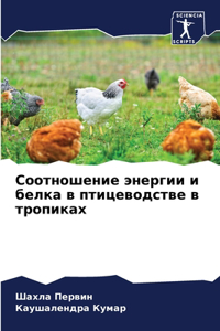 Соотношение энергии и белка в птицеводств