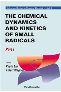 Chemical Dynamics and Kinetics of Small Radicals, the - Part I