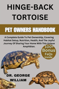 Hinge-Back Tortoise