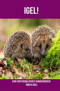 Igel! Ein erstaunliches Kinderbuch über Igel