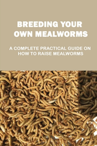 Breeding Your Own Mealworms