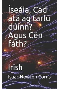 Íseáia, Cad atá ag tarlú dúinn? Agus Cén fáth?