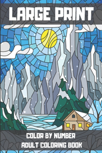 Large Print Color By Number Adult Coloring Book