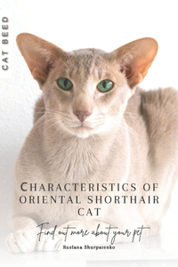 Сharacteristics of Oriental Shorthair cat