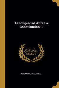 Propiedad Ante La Constitución ...
