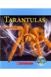 Tarantulas