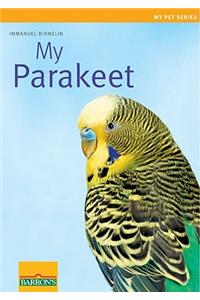 My Parakeet