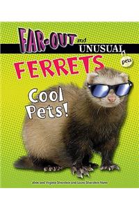 Ferrets