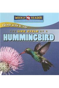 The Life Cycle of a Hummingbird