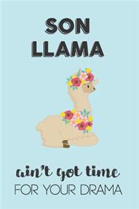 Son Llama Aint Got Time For Your Drama