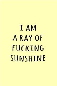 I am a ray of fucking sunshine