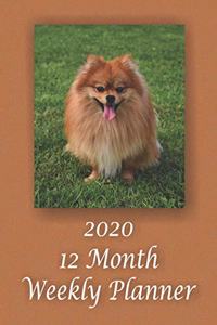 2020 12 Month Weekly Planner