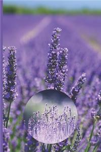My Essential Oil Recipe Book